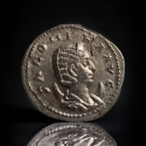 Salonina Silvered BI antoninianus