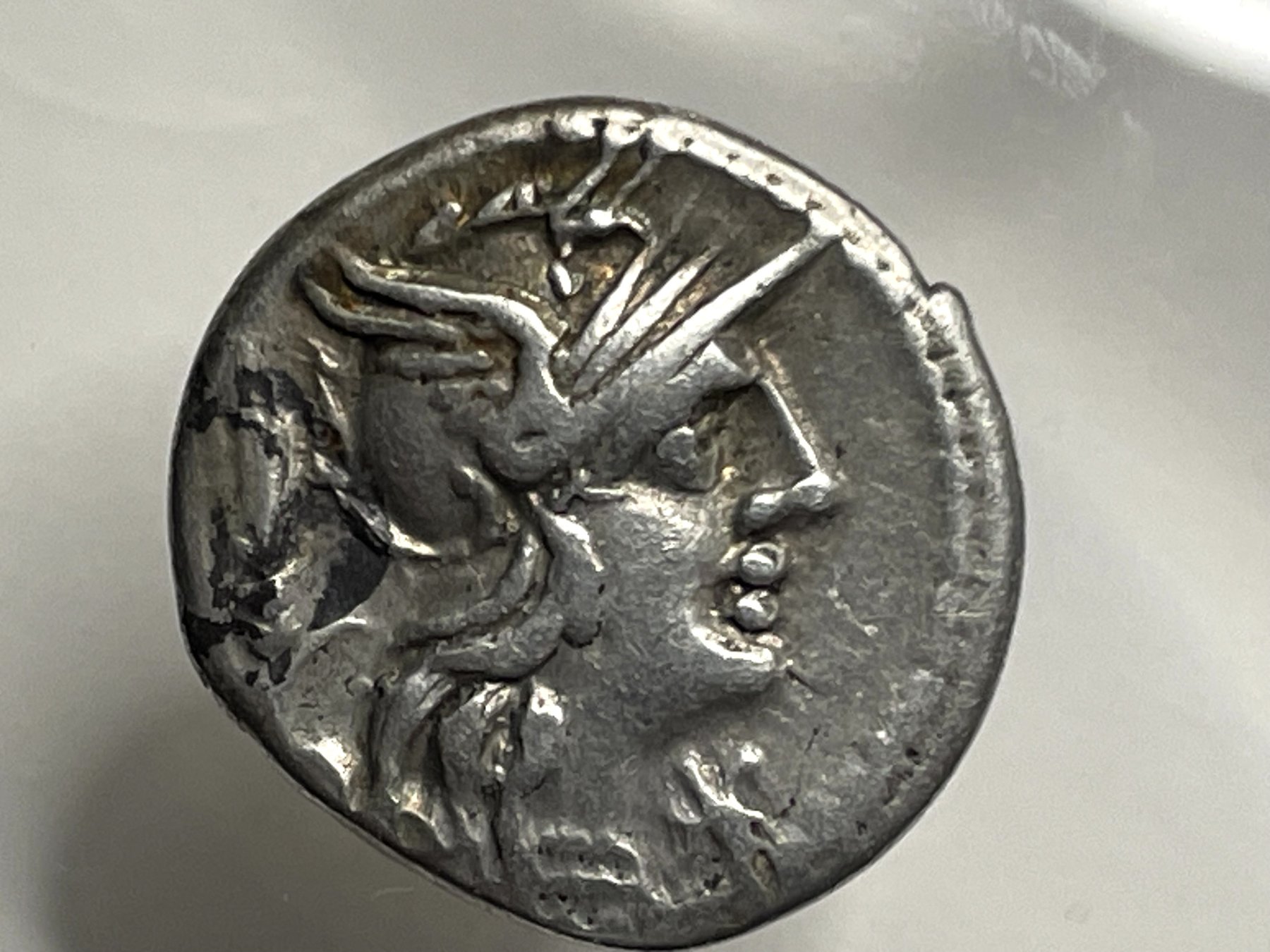 Gens Domitia Denario